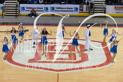 DSC_3558MSD